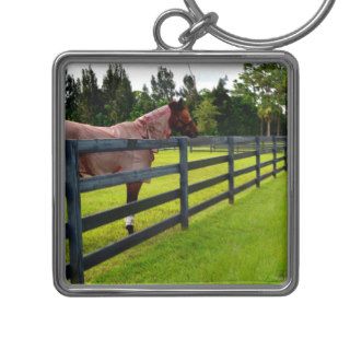 Horse looking down fence path keychain