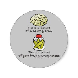 Here's your Brain in Nursing School Round Stickers
