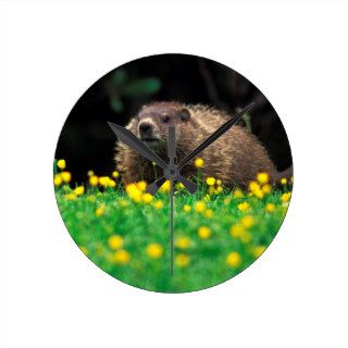 Groundhog Buttercup Day Mountain Round Clocks