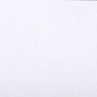 Brewster RD80021 Anaglypta Paintable Plaster Texture Wallpaper, 21 Inch by 396 Inch, White    