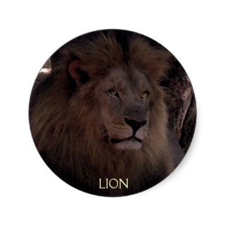 AFRICAN LION Big Five Cat Wildlife Stickers