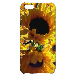 Two Sunflowers iPhone Case iPhone 5C Case