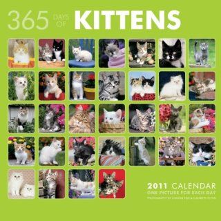 Kittens 365 Days 2011 Wall Calendar 12" X 12" 