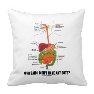 Who Said I Didn't Have Any Guts? Digestive System Pillows