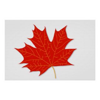 Red maple leaf poster