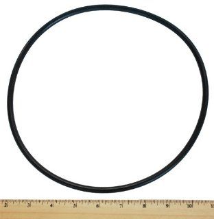 Pentair U9 373 Cord Ring for Seal Plate Replacement for Select Sta Rite Pool and Spa Pumps  Swimming Pool Pump Accessories  Patio, Lawn & Garden