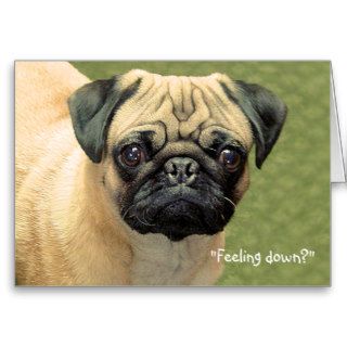 Funny Pug Note Card