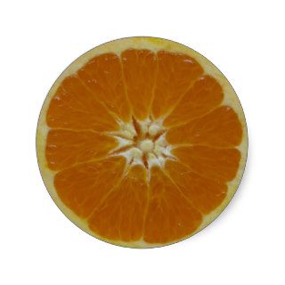 Orange Fruit Slice Stickers