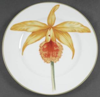 222 Fifth (PTS) Bloom Dinner Plate, Fine China Dinnerware   Multimotif Floral Ce