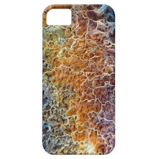 Metal, Rusted, Gold, Blue, Teal, Brown Texture iPhone 5/5S Cases