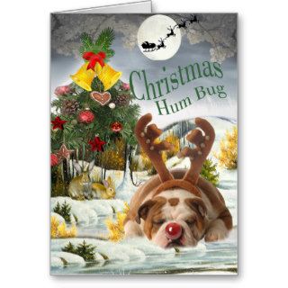Bulldog Christmas Humbug Card