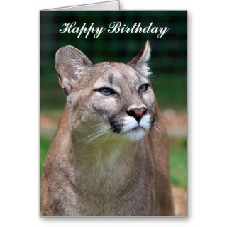 Cougar beautiful photo happy birthday card