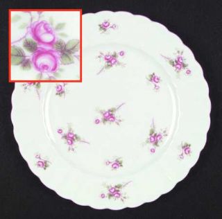 Shelley Bridal Rose (Ludlow Shape) Salad Plate, Fine China Dinnerware   Ludlow S