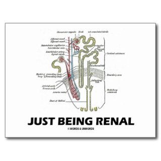 Just Being Renal (Kidney Nephron) Post Cards