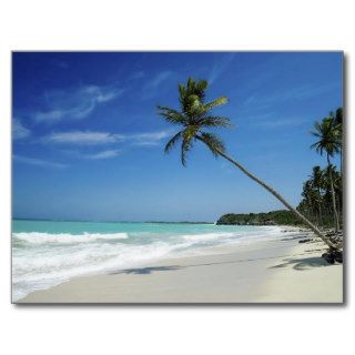 Cayman Island Beach Postcards