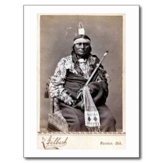 William Gilbert Gaul Native American Indian Postcard