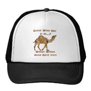 Its Hump Day Mesh Hat