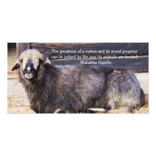 Animal Rights Gandhi QUOTE Photo Cards
