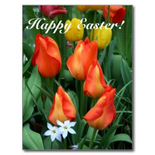 Happy Easter, He is risen Post Cards