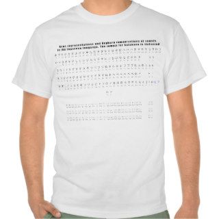 Kana Hepburn Romaji Japanese Language Chart Tee Shirt