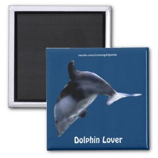 Swimming DOLPHIN Art Magnet
