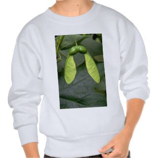 Sugar maple tree fruit (acer saccharum) sweatshirts