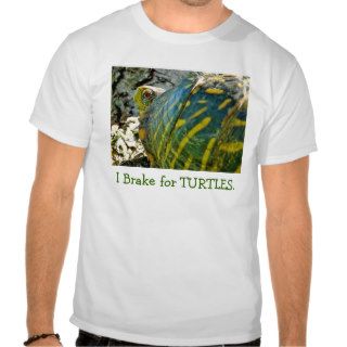 I Brake for Turtles T Shirt