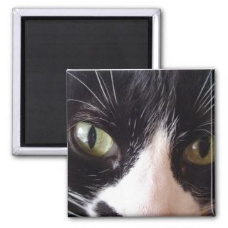 Black Cat, White Whiskers, Green Eyes Magnets