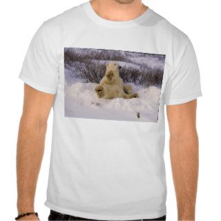 Polar bear High Five Bear Ric Kessler Tshirts