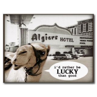 Camel gets lucky at the Algiers in Las Vegas Postcard