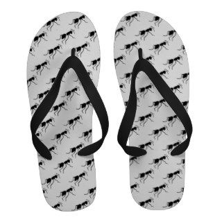 Dude Flip Flops