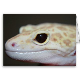 Albino Leopard Gecko Greeting Card