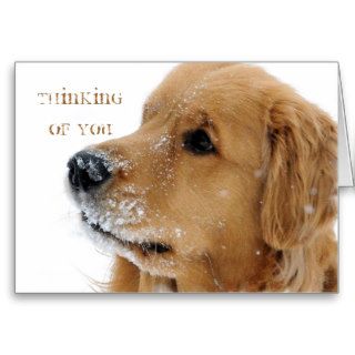 Golden Retriever Snow Dog Thinking of You Greeting Cards