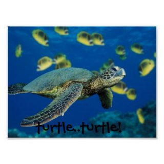 Green Sea Turtle, turtleturtle Print
