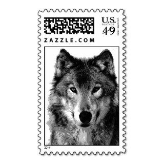 Black & White Wolf Face Postage