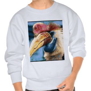 Strange bird pull over sweatshirts