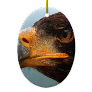 Bird Eagle Eye Watcher Christmas Tree Ornament