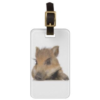 Baby Warthog Tags For Bags