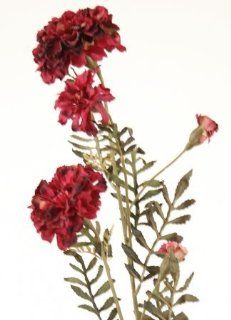 Distinctive Designs DH 467 BG DIY Flower 27 in. L Burgundy Artificial Marigold Spray x 3 Blooms   Pack of 6 Patio, Lawn & Garden