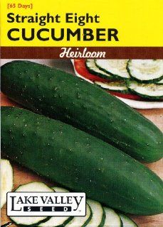 Lake Valley 484 Cucumber Straight Eight Vp Heirloom Seed Packet  Vegetable Plants  Patio, Lawn & Garden
