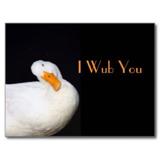 I Wub You, Cute White Duck Postcards