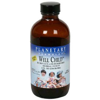 Planetary Formulas Well Child, Echinacea Elderberry Syrup, 8 fl oz (236.56 ml) Health & Personal Care