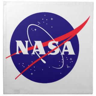 NASA Meatball Logo Napkin