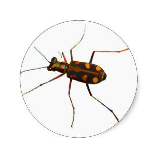 Cicindela beetle stickers