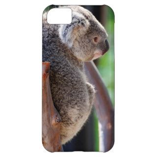 Koala iPhone 5C Cases