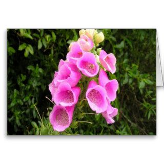 Peace and beauty flower flora greeting card