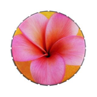 Pink Plumeria Frangipani Hawaii Flower Hawaiian Jelly Belly Tin