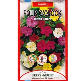 Ferry Morse Four OClock Mixed Colors Seed 1051