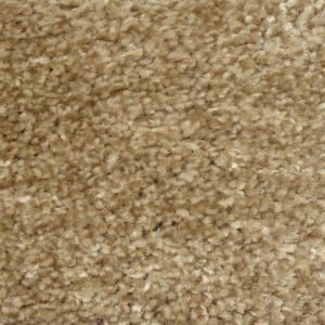 Truly Soft II   Color Grain 12 ft. Carpet HD052 08