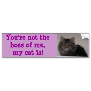 You're not the boss of me, my cat is bumper sticker